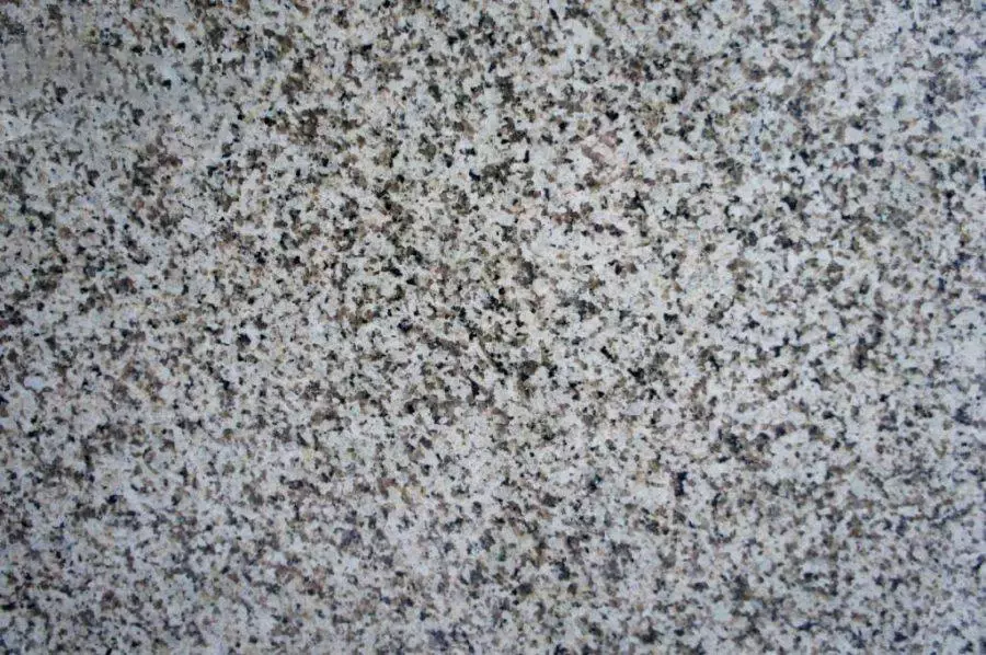 Паулин Грей (Pauline Grey)