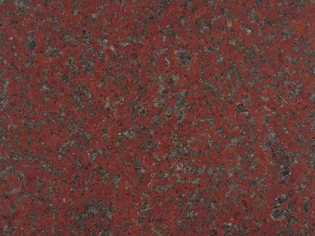 Африкан Рэд (African Red)